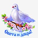 БлАгОвЕщЕнИе