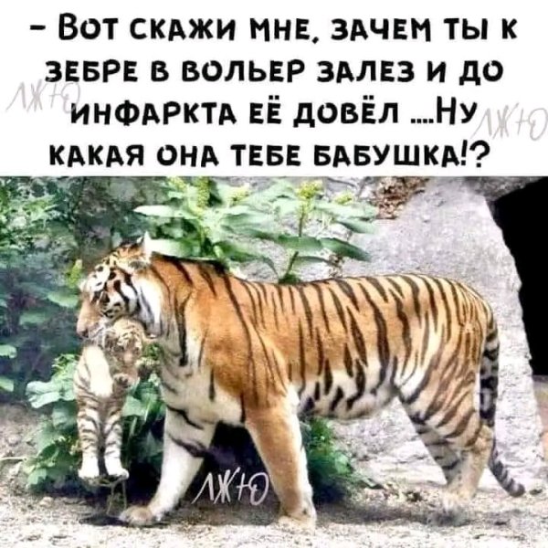 file_103572903