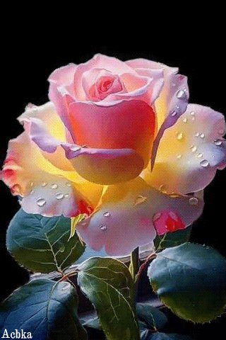 file_95465347