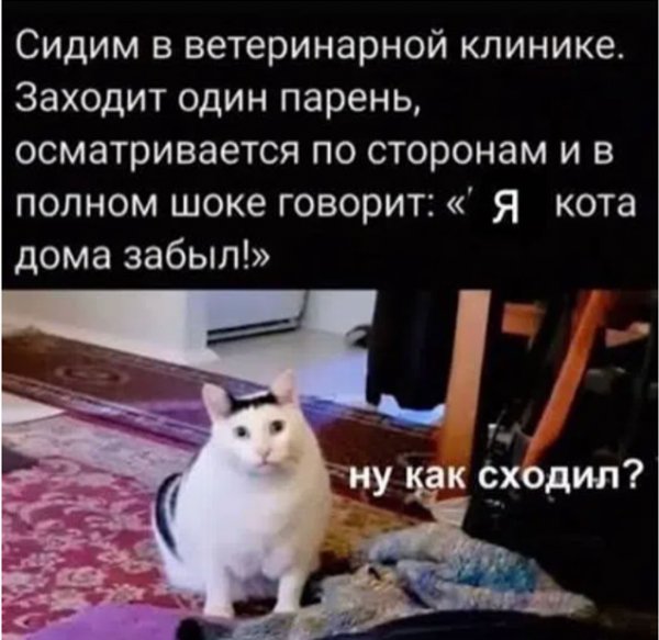 IMG 20261002 105250