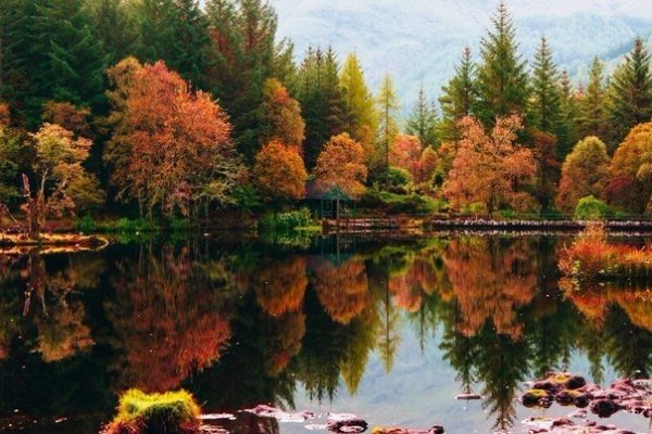 Осень