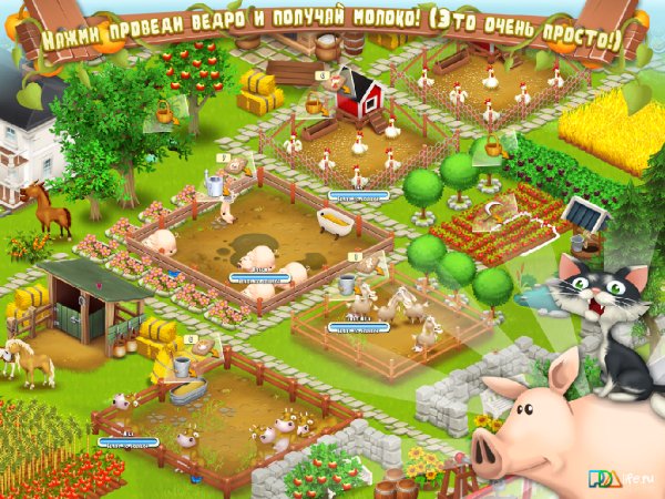 Hay Day v1.17.98