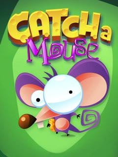 Catch the Mouse