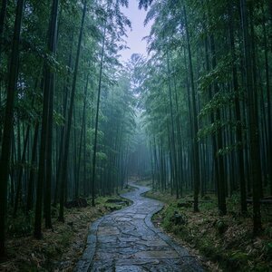 Velvet Sax Avenue - Midnight