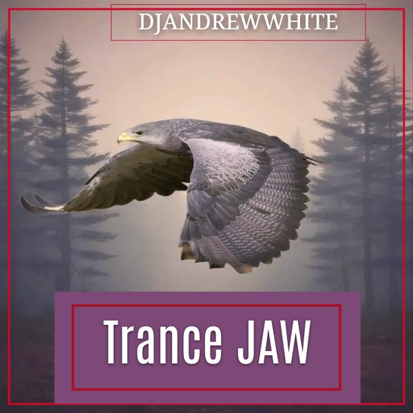DJANDREWWHITE - TranceJaw 214