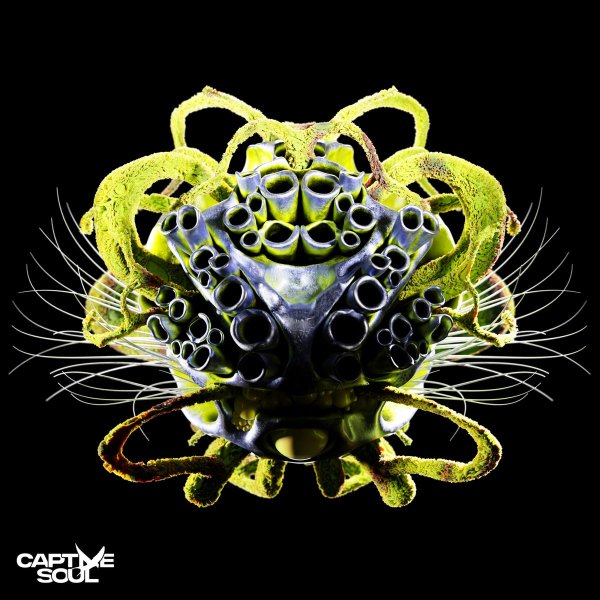 Carl Bee - Suspicious (Radio Edit)