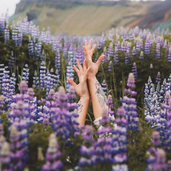 Little May - Hide