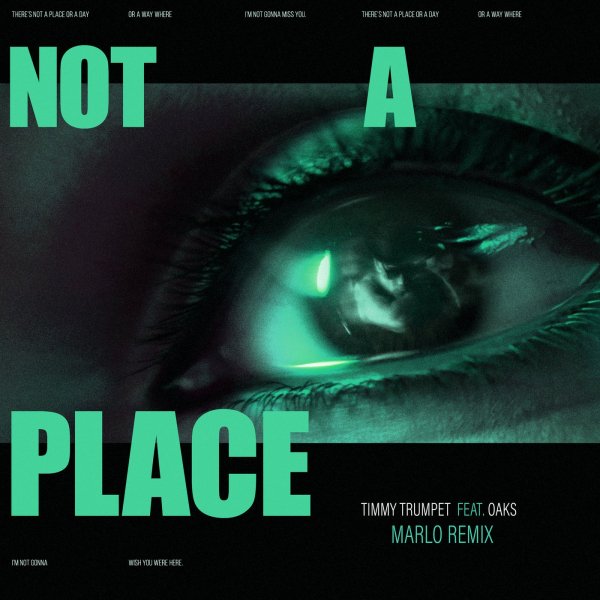 Timmy Trumpet feat. Oaks - Not A Place (MaRLo Extended Remix)