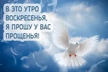 IMG 20220306 102945