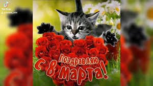 Images-10