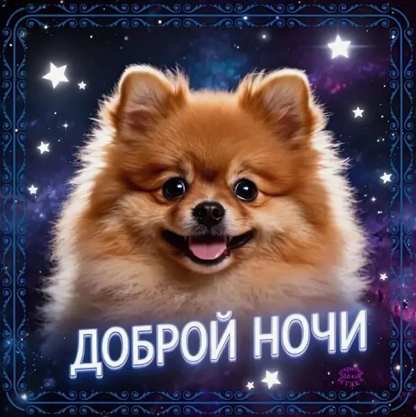 Доброй ночи