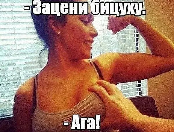 Файл #312471035