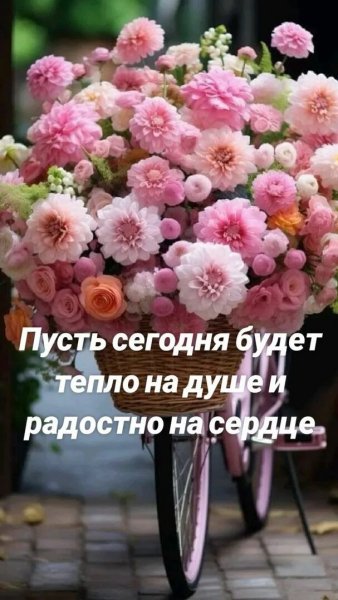 Друзья мои!