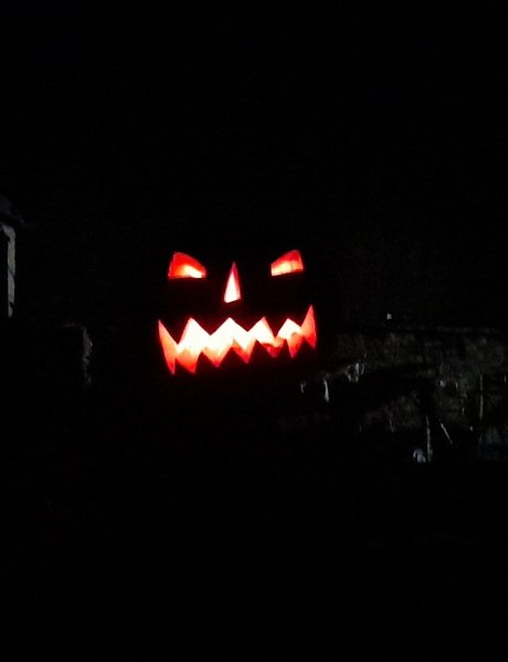 picture_306779462