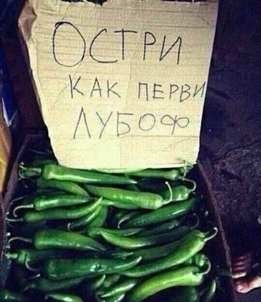 34e238a1bafaef63d84a0ed0760fda54