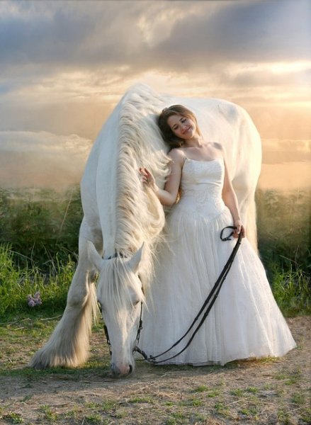 Saved Images horse-3481756 640