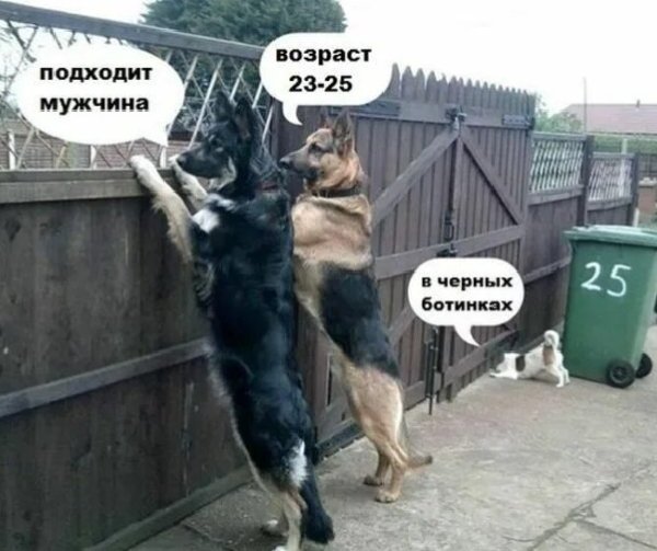 Оба - на!!!