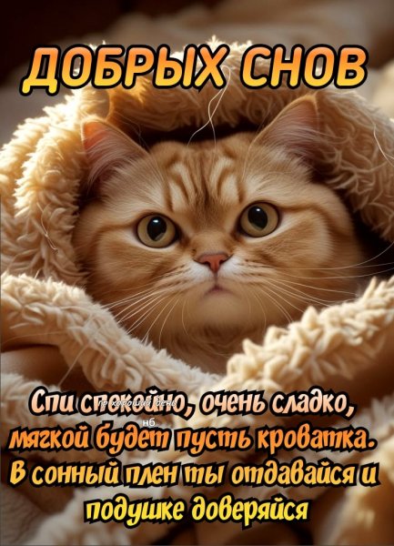 6b0ce24145b033ba8aa073e8a8666a72