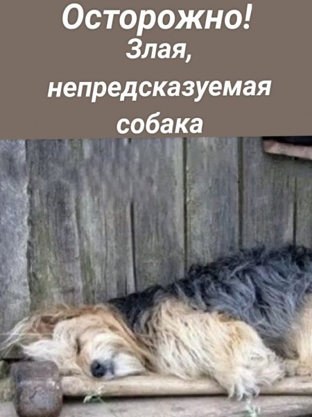 Опаньки!