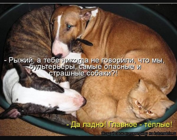 И то верно! ))
