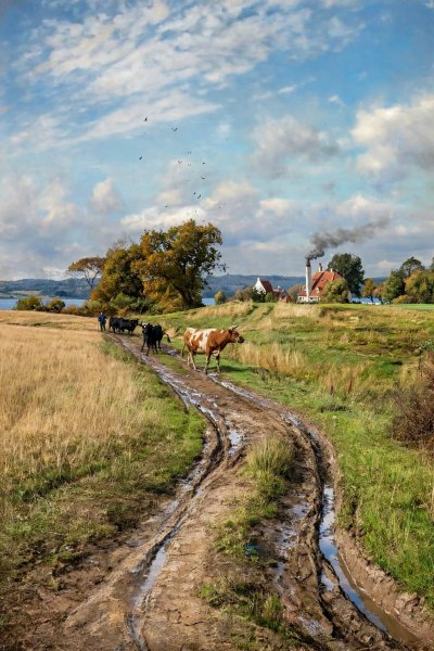 Ox