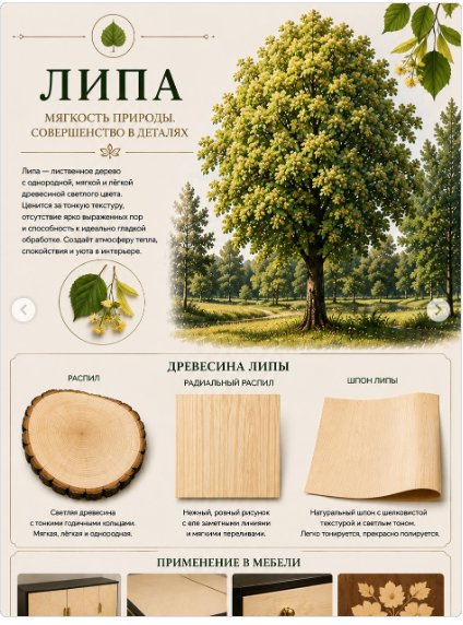 Липа