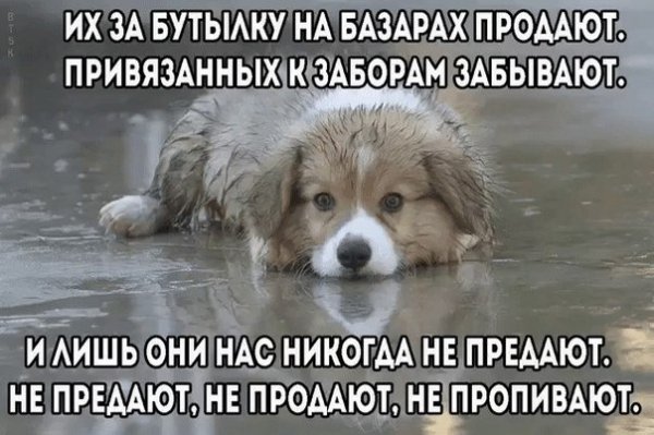 picture_146747245