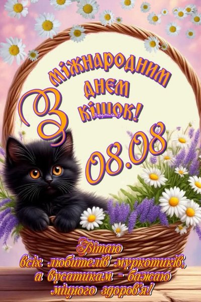 08-08