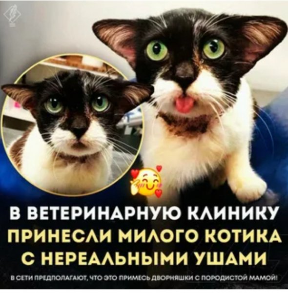 Опаньки!
