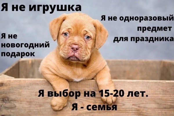 Я - семья