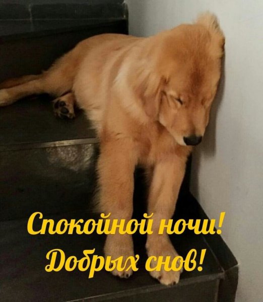 Всем вам!