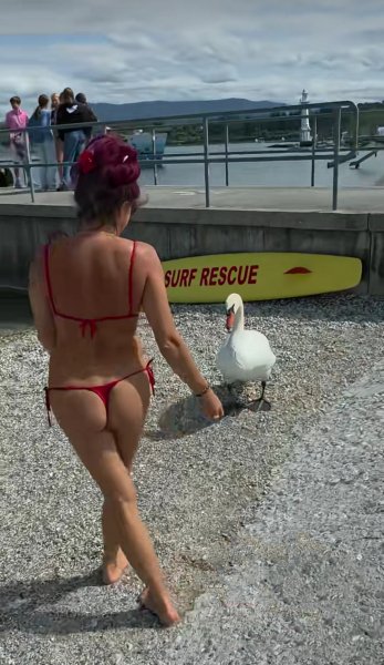 IMG 20260927 051002