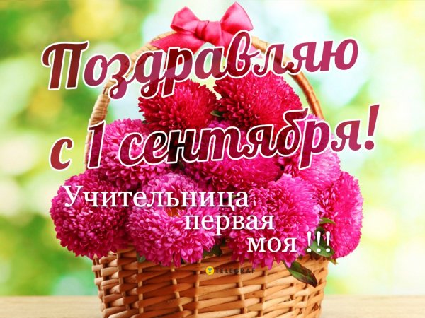 Учительница первая моя