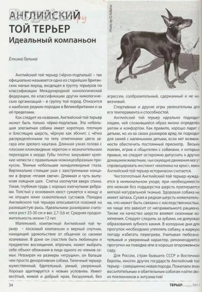 Файл #417053591
