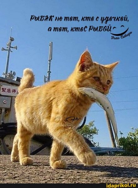 Так!
