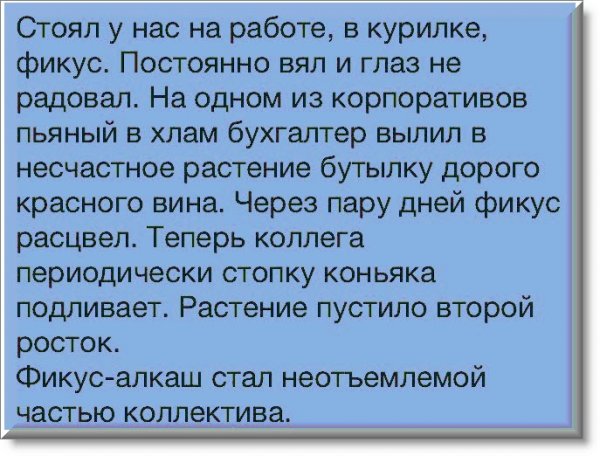 lsyU5G3QgDU