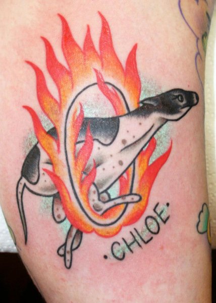 Tattoo (3436)