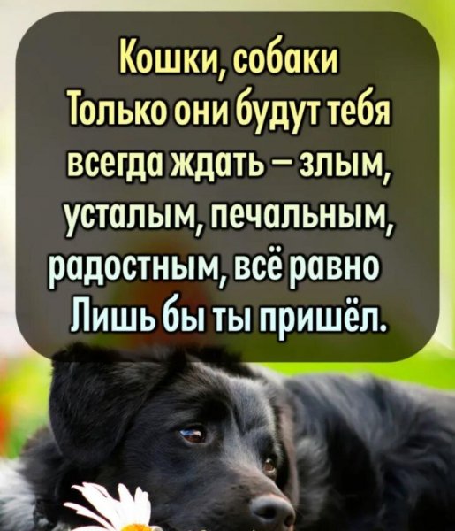 Так и есть!