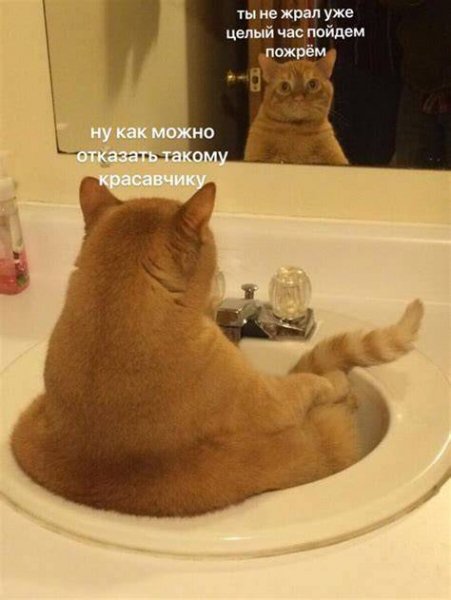Красавчик )