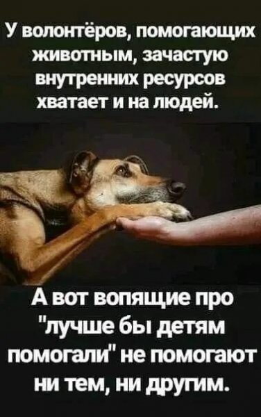 Ни тем, ни другим