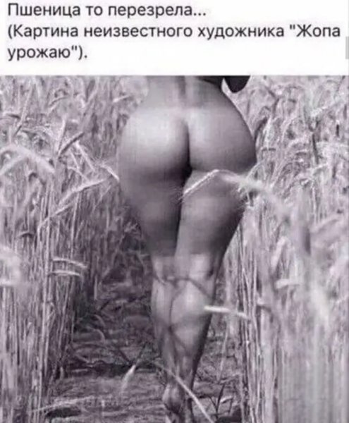 Prosto-smeshnaja-podborka-bez-lishnih-objasnenij-04