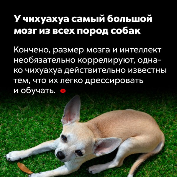 Это интересно