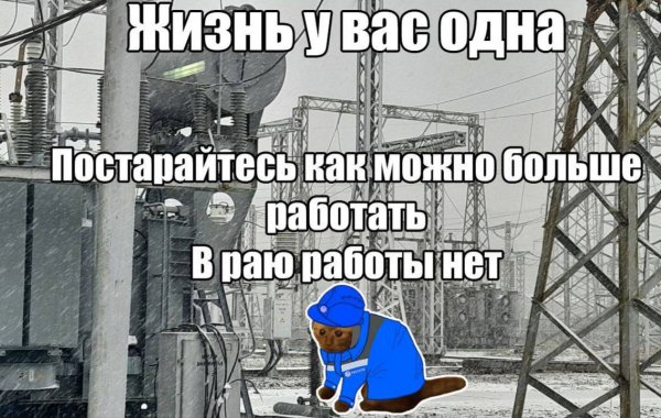 Photo5029@11-11-202411-13-15