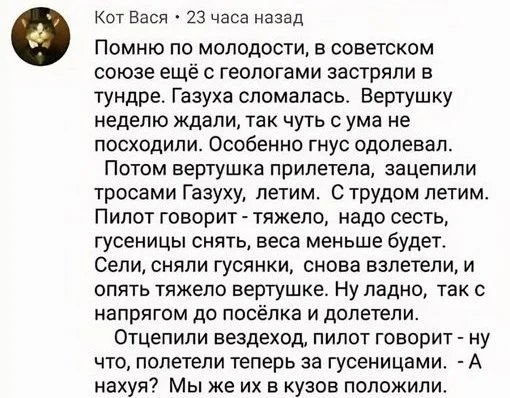 Гусеницы