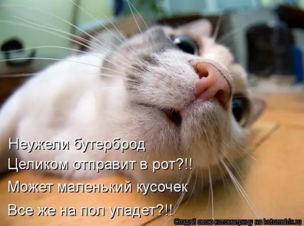 Неужели...