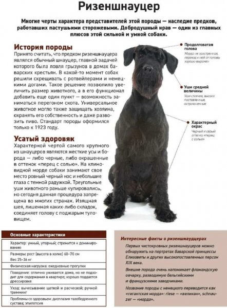 Файл #417995045