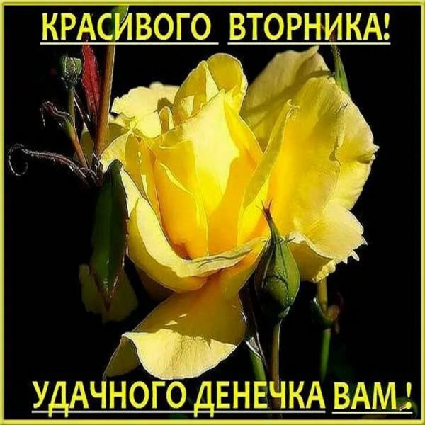 Друзья мои!