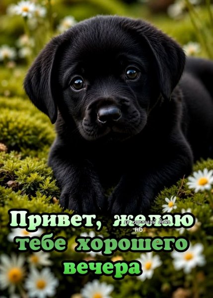 a02319506b46d31789f4b2de21319