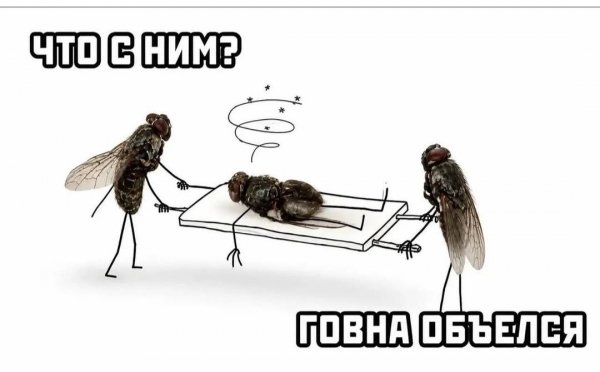 p.1200.1200.0