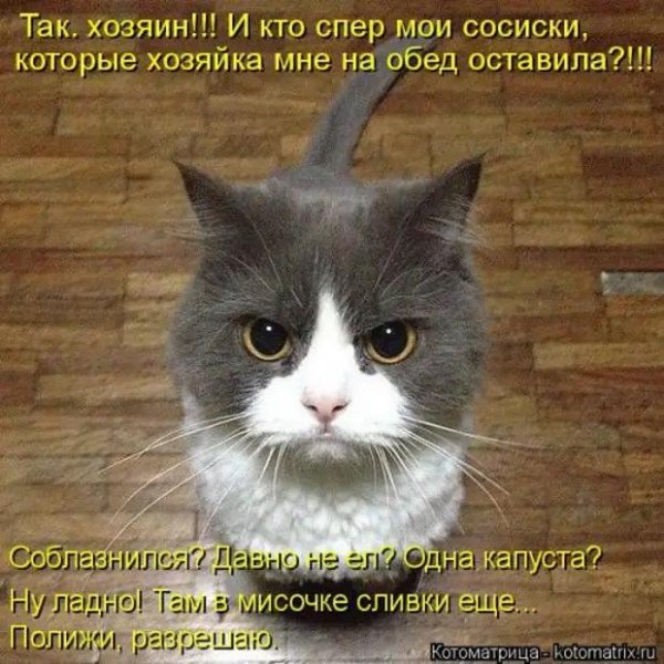 Разрешаю